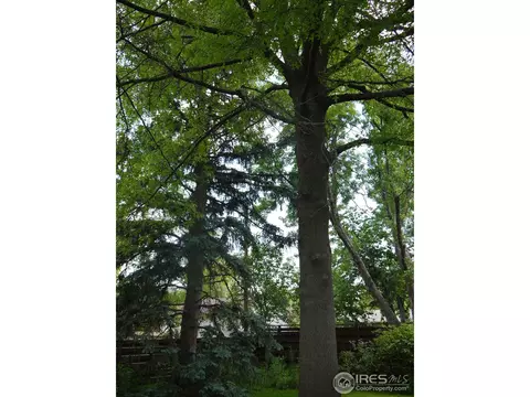 1955 Grape Ave, Boulder, CO 80304 photo 11