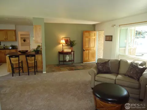 3409 Killarney Ct, Laporte, CO 80535 photo 3