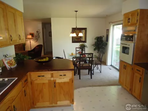 3409 Killarney Ct, Laporte, CO 80535 photo 6