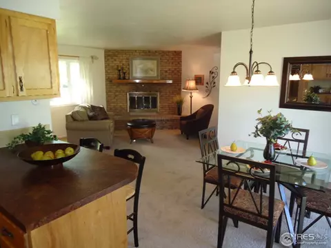 3409 Killarney Ct, Laporte, CO 80535 photo 9