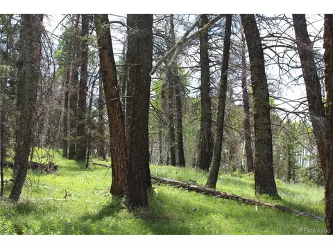1650 Spruce Rd, Cimarron, CO 81220