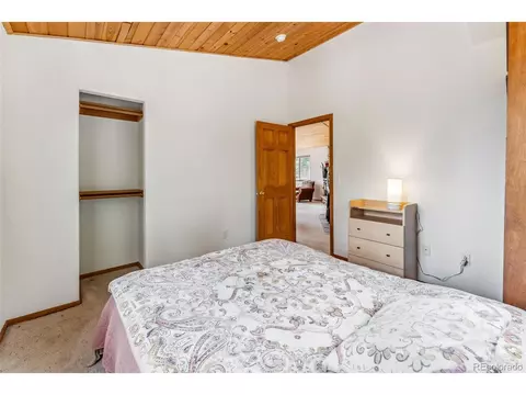 121 Grizzly Dr, Fairplay, CO 80440 photo 20