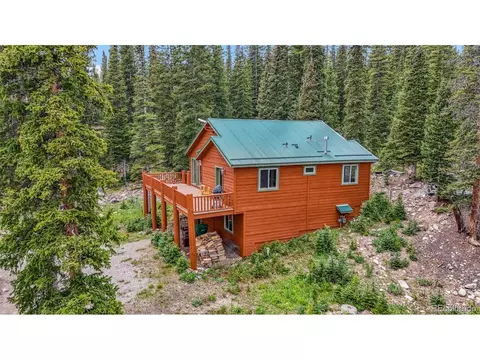 121 Grizzly Dr, Fairplay, CO 80440 photo 42