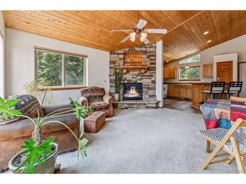121 Grizzly Dr, Fairplay, CO 80440 photo 4