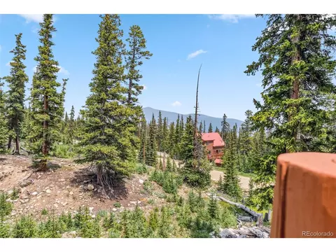 121 Grizzly Dr, Fairplay, CO 80440 photo 24