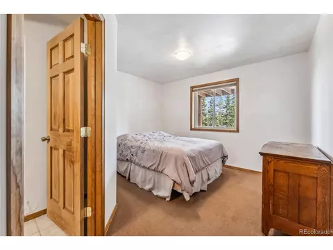 121 Grizzly Dr, Fairplay, CO 80440 photo 30