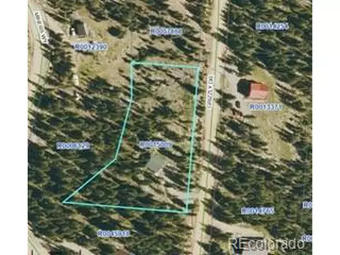 121 Grizzly Dr, Fairplay, CO 80440 photo 46