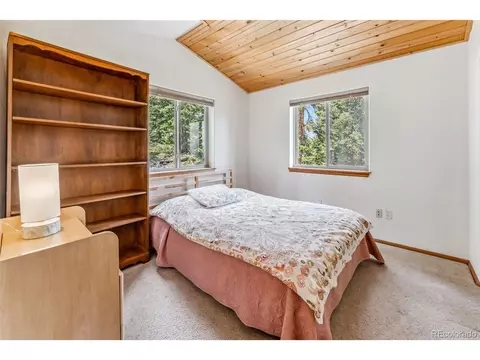 121 Grizzly Dr, Fairplay, CO 80440 photo 19
