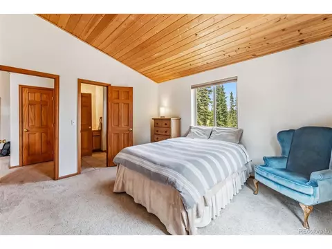 121 Grizzly Dr, Fairplay, CO 80440 photo 12