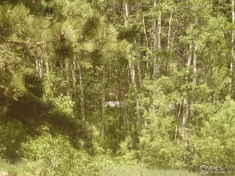 2079 Riverside Dr, Lyons, CO 80540 photo 11