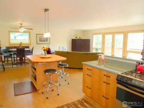 59 Mesa, Jamestown, CO 80455 photo 4