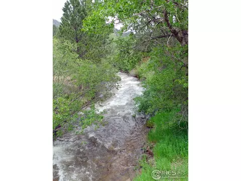 59 Mesa, Jamestown, CO 80455 photo 13