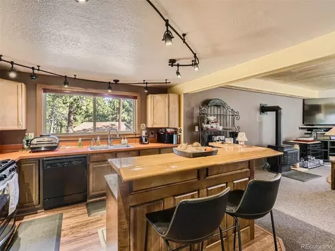 305 Rising Sun Rd, Bailey, CO 80421 photo 10