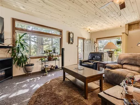 305 Rising Sun Rd, Bailey, CO 80421 photo 8