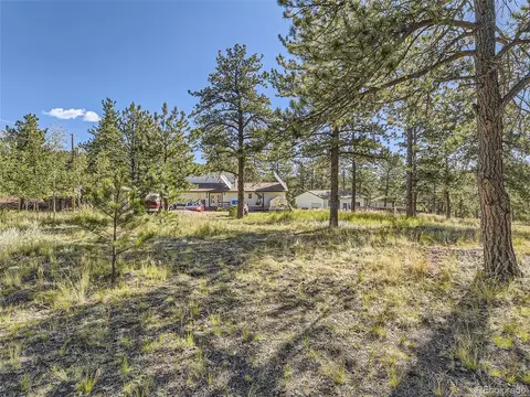 305 Rising Sun Rd, Bailey, CO 80421 photo 26