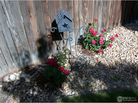 5846 Shenandoah Ave, Firestone, CO 80504 photo 24