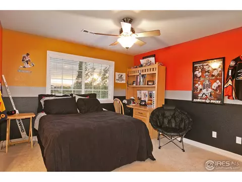 4458 Firehawk Ct, Windsor, CO 80550 photo 15