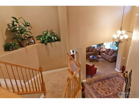 4458 Firehawk Ct, Windsor, CO 80550 photo 18
