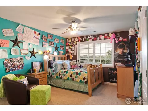 4458 Firehawk Ct, Windsor, CO 80550 photo 17