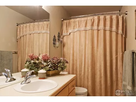 4458 Firehawk Ct, Windsor, CO 80550 photo 16