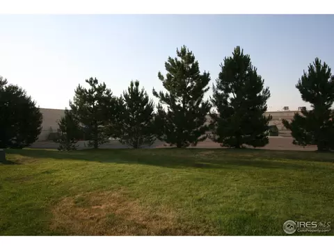 2519 Egbert St, Brighton, CO 80601 photo 9