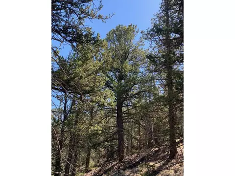 2456 Longbow Dr, Como, CO 80432 photo 33