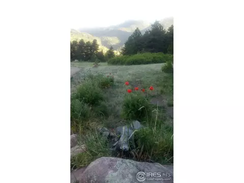 242 Button Rock Rd, Lyons, CO 80540 photo 4