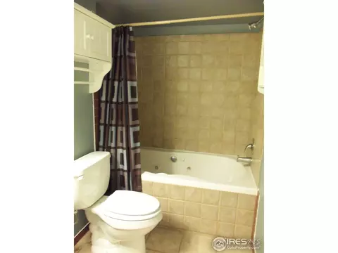 525 Springwood Ct, Windsor, CO 80550 photo 11