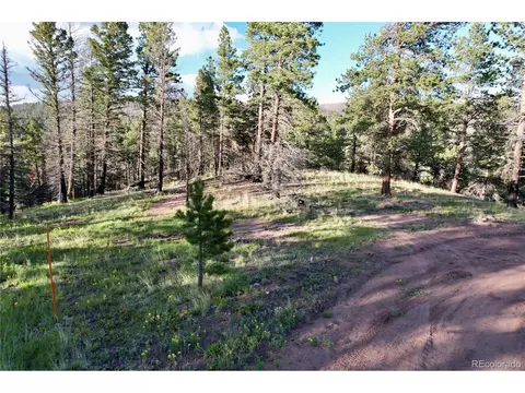 561 Richard Dr, Fort Garland, CO 81133