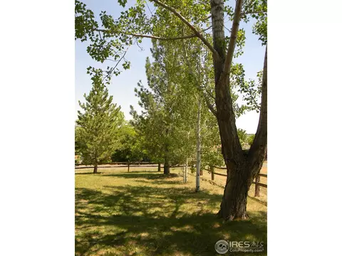 2901 Martingale Dr, Berthoud, CO 80513 photo 20