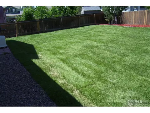 5365 Badger Ln, Frederick, CO 80504 photo 22