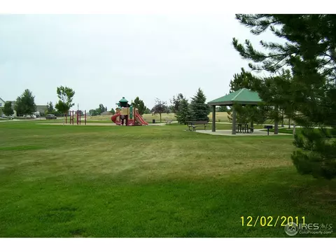 5365 Badger Ln, Frederick, CO 80504 photo 18