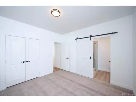 111 Brooklyn Cir, Leadville, CO 80461 photo 11