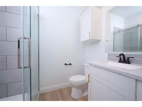 111 Brooklyn Cir, Leadville, CO 80461 photo 12