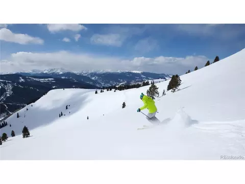 111 Brooklyn Cir, Leadville, CO 80461 photo 25