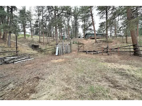 23724 Pine Top Ave, Pine, CO 80470 photo 31