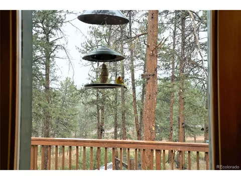 23724 Pine Top Ave, Pine, CO 80470 photo 12