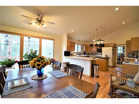23724 Pine Top Ave, Pine, CO 80470 photo 6