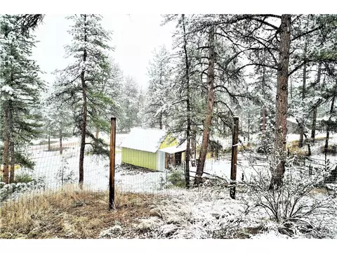 23724 Pine Top Ave, Pine, CO 80470 photo 24