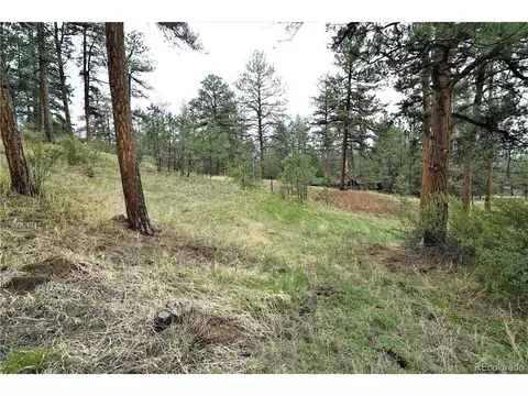23724 Pine Top Ave, Pine, CO 80470 photo 26