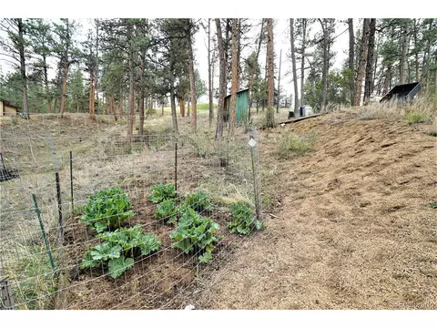23724 Pine Top Ave, Pine, CO 80470 photo 33