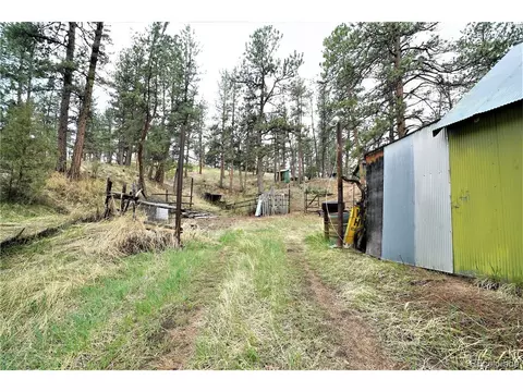 23724 Pine Top Ave, Pine, CO 80470 photo 28