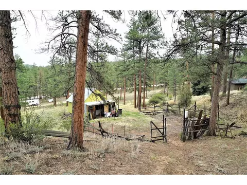 23724 Pine Top Ave, Pine, CO 80470 photo 34
