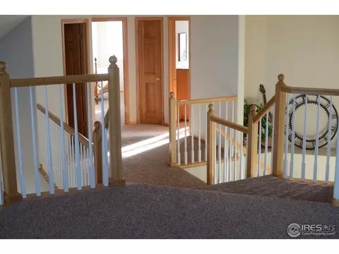 2012 Shoreline Ct, Windsor, CO 80550 photo 12
