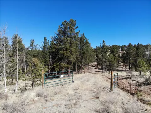 767 Crestridge Rd, Florissant, CO 80816