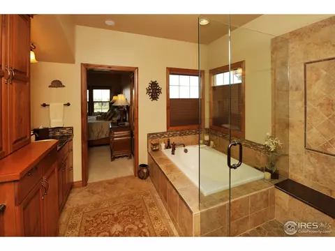 6813 Clovis Ct, Timnath, CO 80547 photo 15