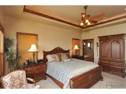 6813 Clovis Ct, Timnath, CO 80547 photo 12