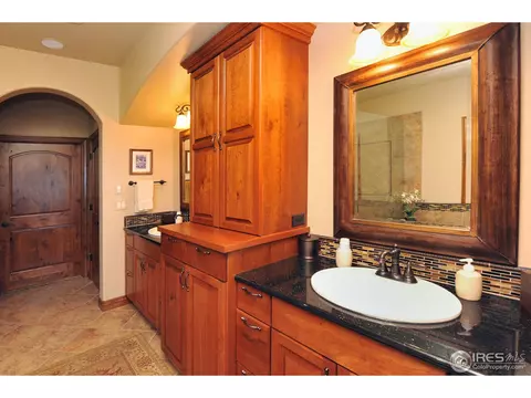 6813 Clovis Ct, Timnath, CO 80547 photo 14