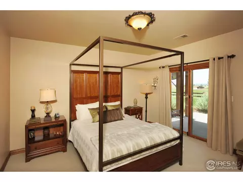 6813 Clovis Ct, Timnath, CO 80547 photo 20