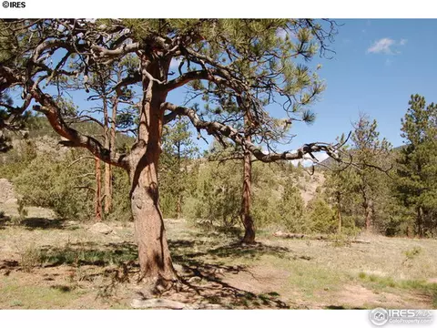 281 Cherokee Rd, Lyons, CO 80540 photo 7